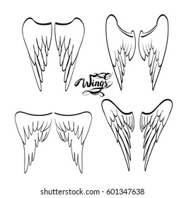 angel wings vector, lettering, drawing