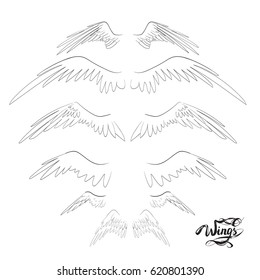 angel wings vector, lettering, drawing
