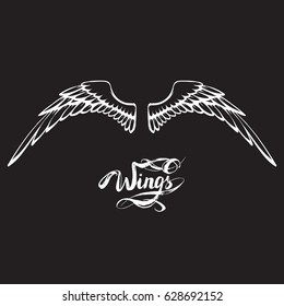 angel wings vector, lettering, drawing