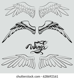 angel wings vector, lettering, drawing