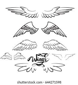 angel wings vector, lettering, drawing