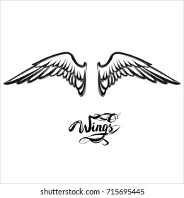 Angel Wings Vector Lettering Drawing Stock Vector (Royalty Free ...