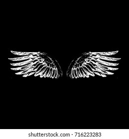 angel wings vector, lettering, drawing