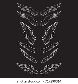 angel wings vector, lettering, drawing