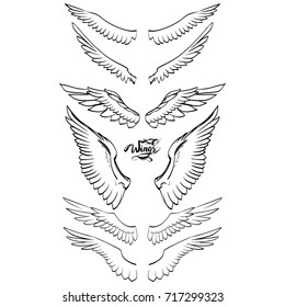 angel wings vector, lettering, drawing