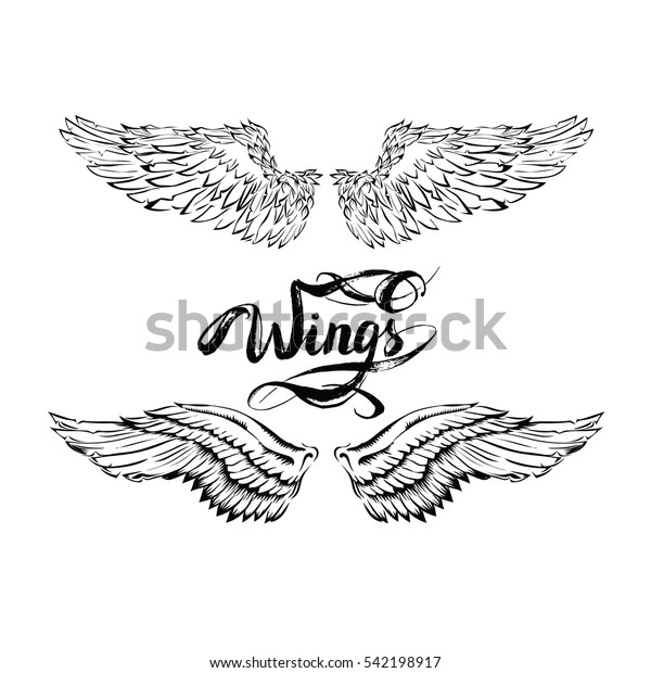 Angel Wings Vector Lettering Drawing Stock Vector (Royalty Free ...