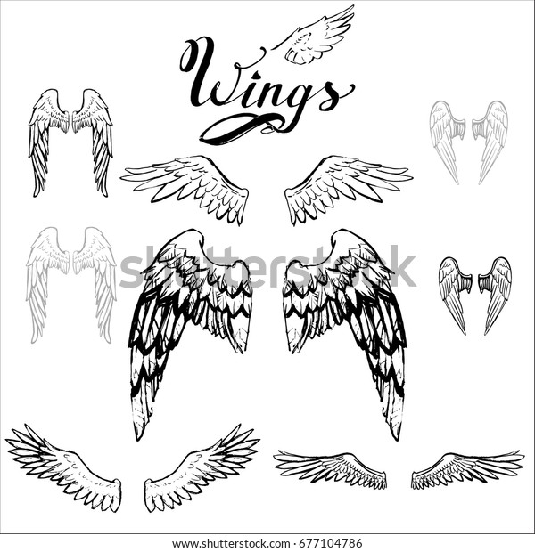 Angel Wings Vector Lettering Drawing Stock Vector (Royalty Free) 677104786