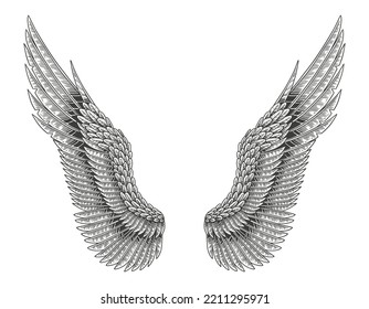 Angel wings. Vector vintage Engraving illustration