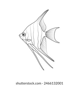 Angelfisch . Schwarzweiß-Vektorillustration. Färbung.
