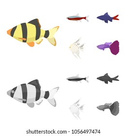 Angelfish, common, barbus, neon.Fish set collection icons in cartoon,monochrome style vector symbol stock illustration web.