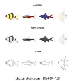 Angelfish, common, barbus, neon.Fish set collection icons in cartoon,outline,monochrome style vector symbol stock illustration web.