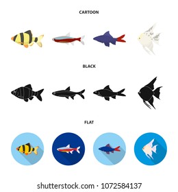 Angelfish, common, barbus, neon.Fish set collection icons in cartoon,black,flat style vector symbol stock illustration web.