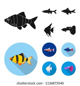 Angelfish, common, barbus, neon.Fish set collection icons in black, flat style vector symbol stock illustration web.