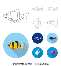 Angelfish, common, barbus, neon.Fish set collection icons in outline,flat style vector symbol stock illustration web.