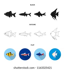 Angelfish, common, barbus, neon.Fish set collection icons in cartoon style vector symbol stock illustration web.