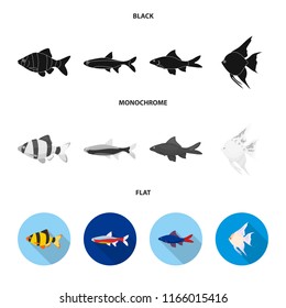 Angelfish, common, barbus, neon.Fish set collection icons in black, flat, monochrome style vector symbol stock illustration web.