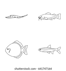 Angelfish, common, barbus, neon.Fish set collection icons in outline style vector symbol stock illustration web.