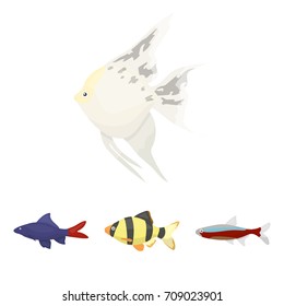 Angelfish, common, barbus, neon.Fish set collection icons in cartoon style vector symbol stock illustration web.