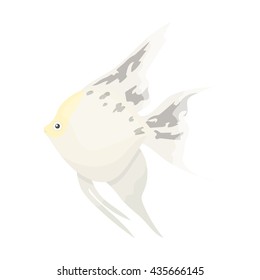 Angelfish common fish icon cartoon. Singe aquarium fish icon from the sea,ocean life collection.