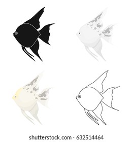 Angelfish common fish icon cartoon. Singe aquarium fish icon from the sea,ocean life cartoon.