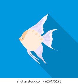 Angelfish common fish icon flat. Singe aquarium fish icon from the sea,ocean life flat.