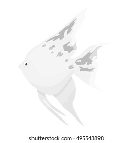 Angelfish common fish icon monochrome. Singe aquarium fish icon from the sea,ocean life monochrome.