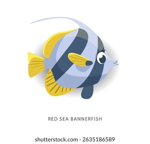 Angelfish with coral pennant, vector isolated illustration of heniochus acuminatus, a symbol of the tropical butterfly fish of the Red Sea Isolated fish for a website, scientific article