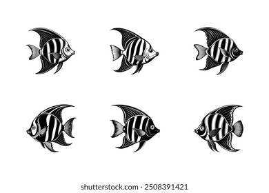  Angelfish design for print-ready graphics on microstock platforms.