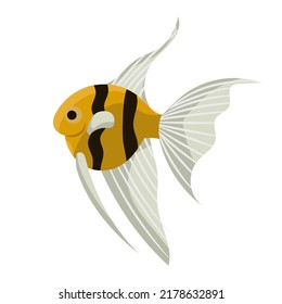 Angelfish fish aquarium illustration vector and sea tropical animal. Underwater ocean and aquatic water life isolated white. Nature exotic cartoon pet angel and marine fauna icon drawing undersea