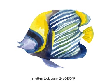 Angelfish fish. Watercolor raster illustration