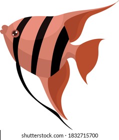 Angelfish, ilustração, vetor sobre fundo branco