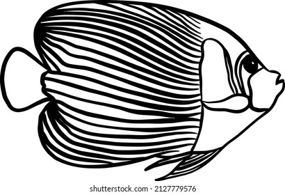 Angelfish Outline Design Vector Illustration Black Color 