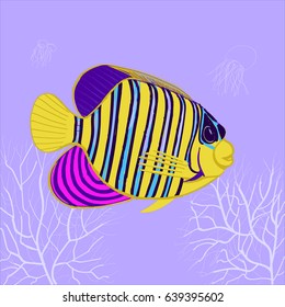 Angelfish Pomacanthus in reef sea