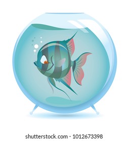 Angelfish In Spherical Aquarium Vector Illustration