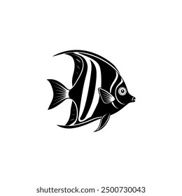Angelfish vector on white board 