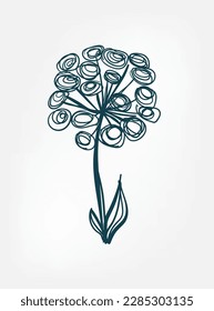 angelica archangelica wild plant flower grass vector line art elegant isolated clip art isolated