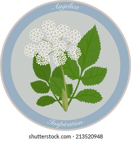 Angelica Flower Meaning 