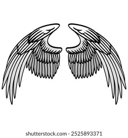 Angels Wings Bird Wing Vector Illustration Drawing 