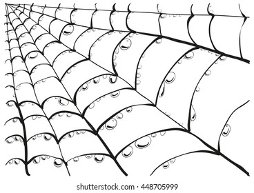 Angle segment of spiderweb with dew drops. Isolated on white illustration