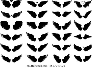 Angle wings silhouette on white background