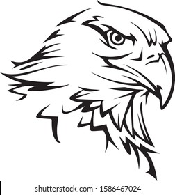 Angled Eagle Head with sharp eye looking down side view vector graphic design silhouette Vector