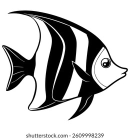 Anglefish vector  on white baclground