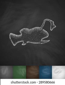 angler fish icon. Hand drawn vector illustration. Chalkboard Design