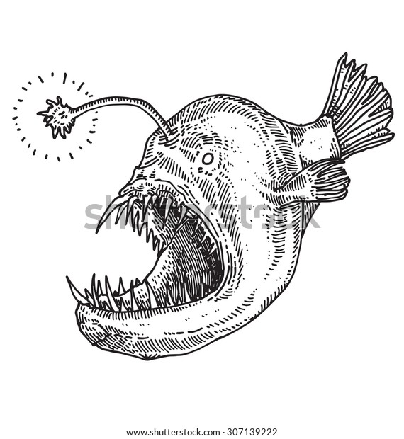 Angler Fish Isolated Vector Illustration Stock Vector (Royalty Free) 307139222