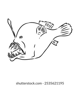 Angler fish, Lophiiformes, ilustração vetorial. Desenho