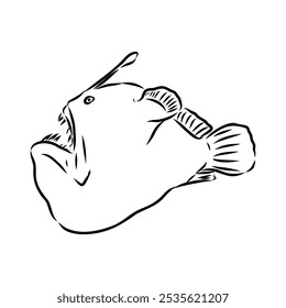 Angler fish, Lophiiformes, ilustração vetorial. Desenho