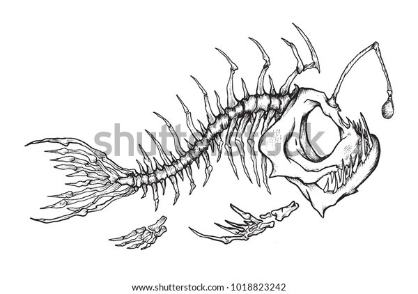 アングラー魚の骨のマスコット インク技法の魚の骨格のベクターイラスト のベクター画像素材 ロイヤリティフリー