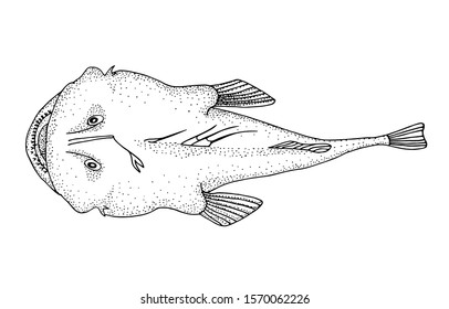 Angler or monkfish. Deepwater ocean fish. Black and white hand drawing image.