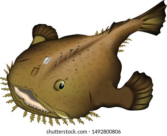 Anglerfish illustration. Vector EPS format.