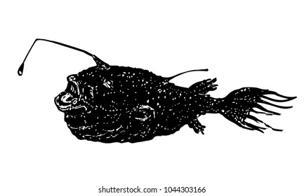 Anglerfish ink vector illustration. Deep sea fish with open mouth and fishing rod